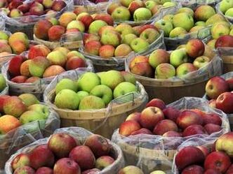 תפוחים לשריפת שומן