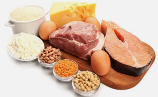 היתרונות של התזונה על חלבונים